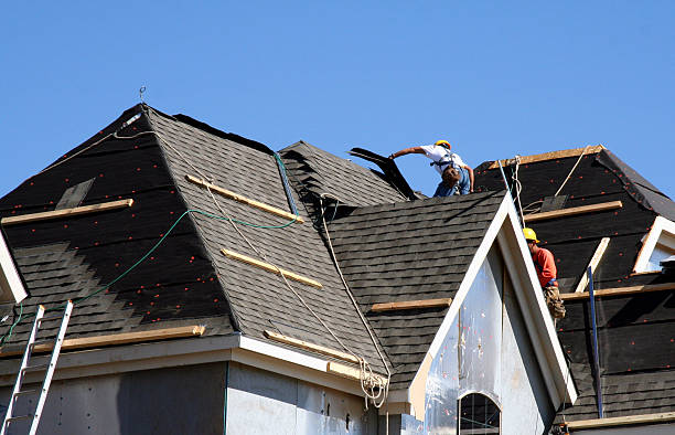 Best Storm Damage Roof Repair  in Homestead Valley, CA